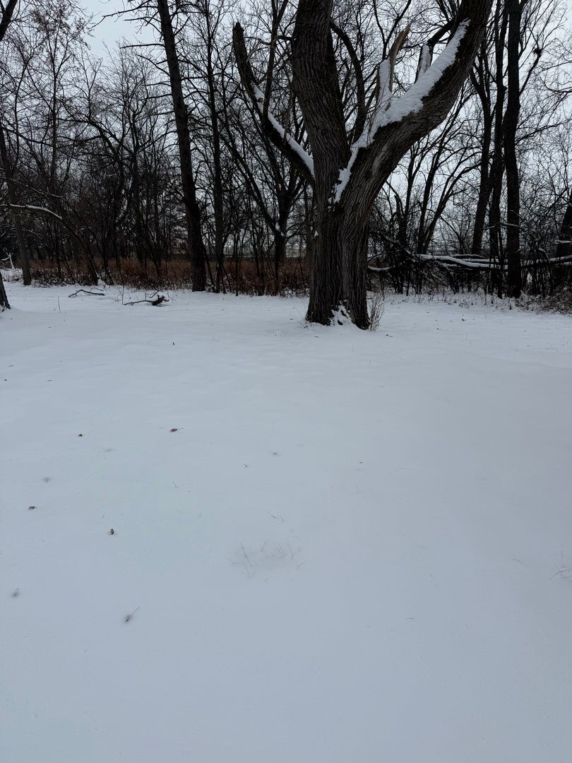 19611 Crawford Avenue — Flossmoor, IL 60422
