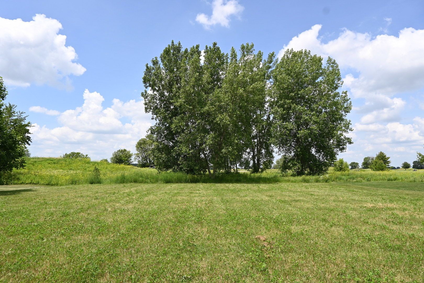 3900 W Nettle Creek Drive — Morris, IL 60450