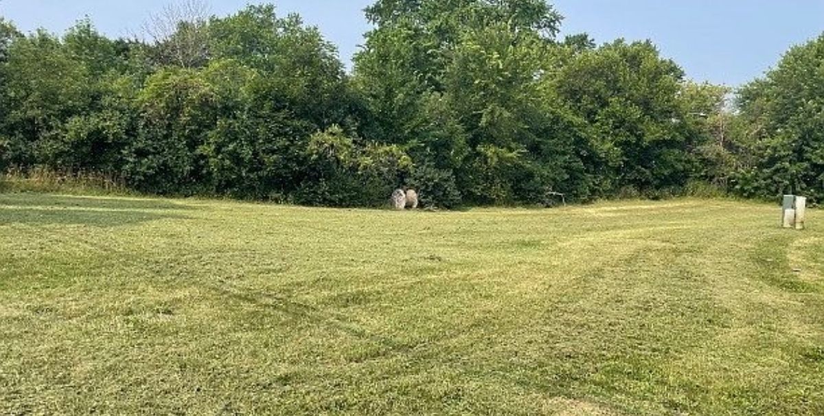 226 Bluff Court, Grayslake, IL 60030