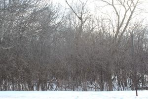 930 N N Fairfield Road — Round Lake Beach, IL 60073