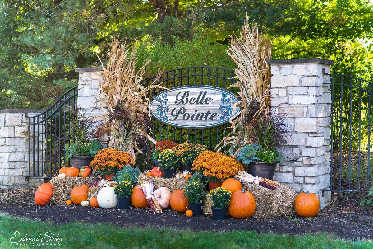 9314 Emily Lane, Union, IL 60180