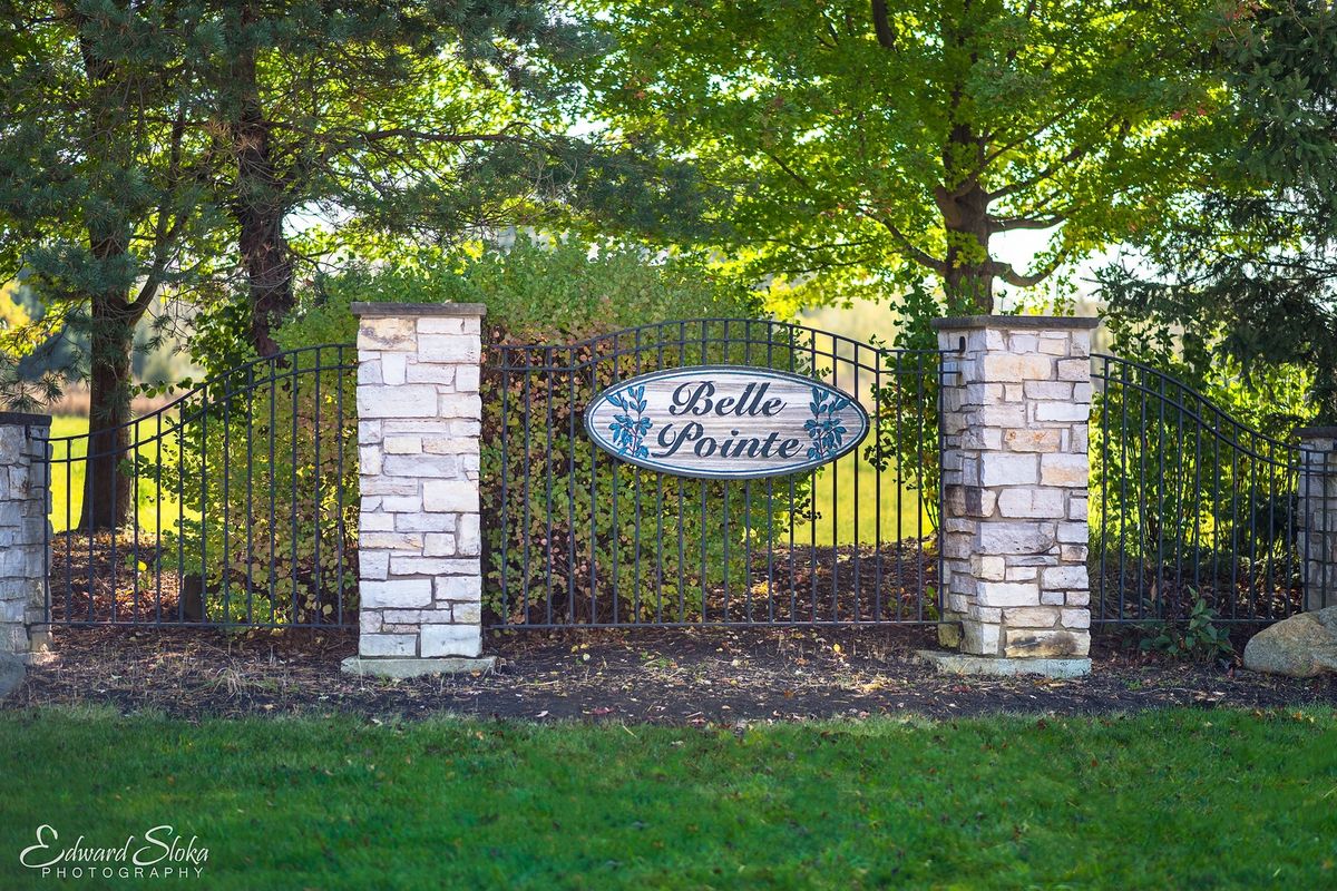 9513 Mels Way, Union, IL 60180
