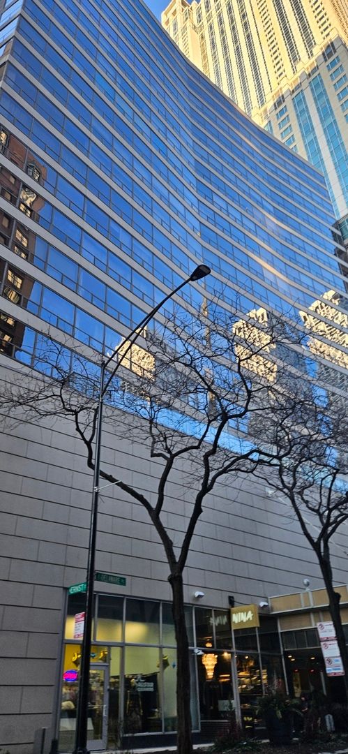 110 E Delaware Place #401 — Chicago, IL 60611