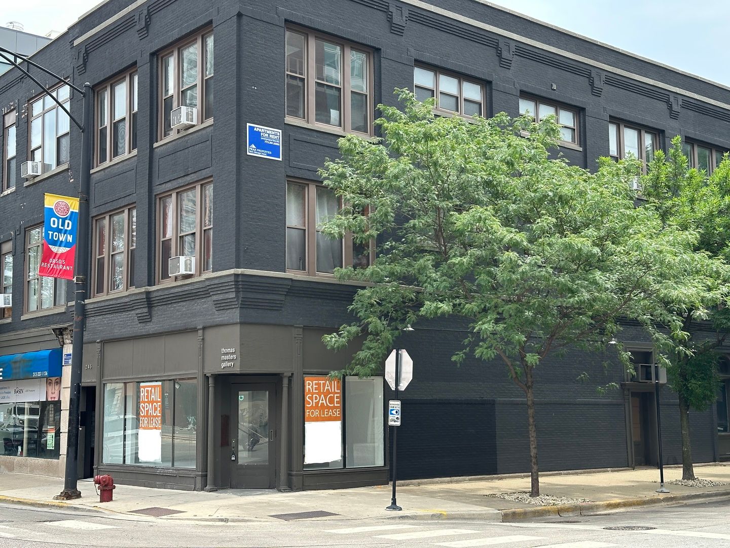 245 W North Avenue — Chicago, IL 60610