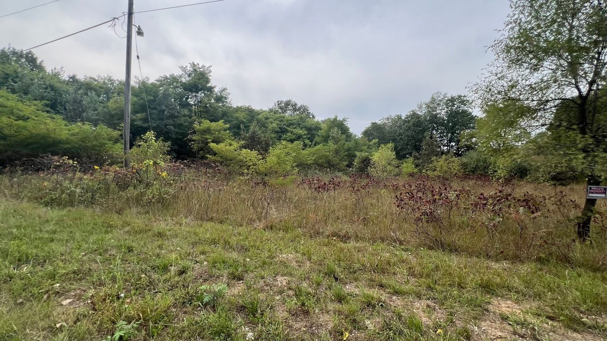 0007 Green Acres Road, Pembroke Twp, IL 60958