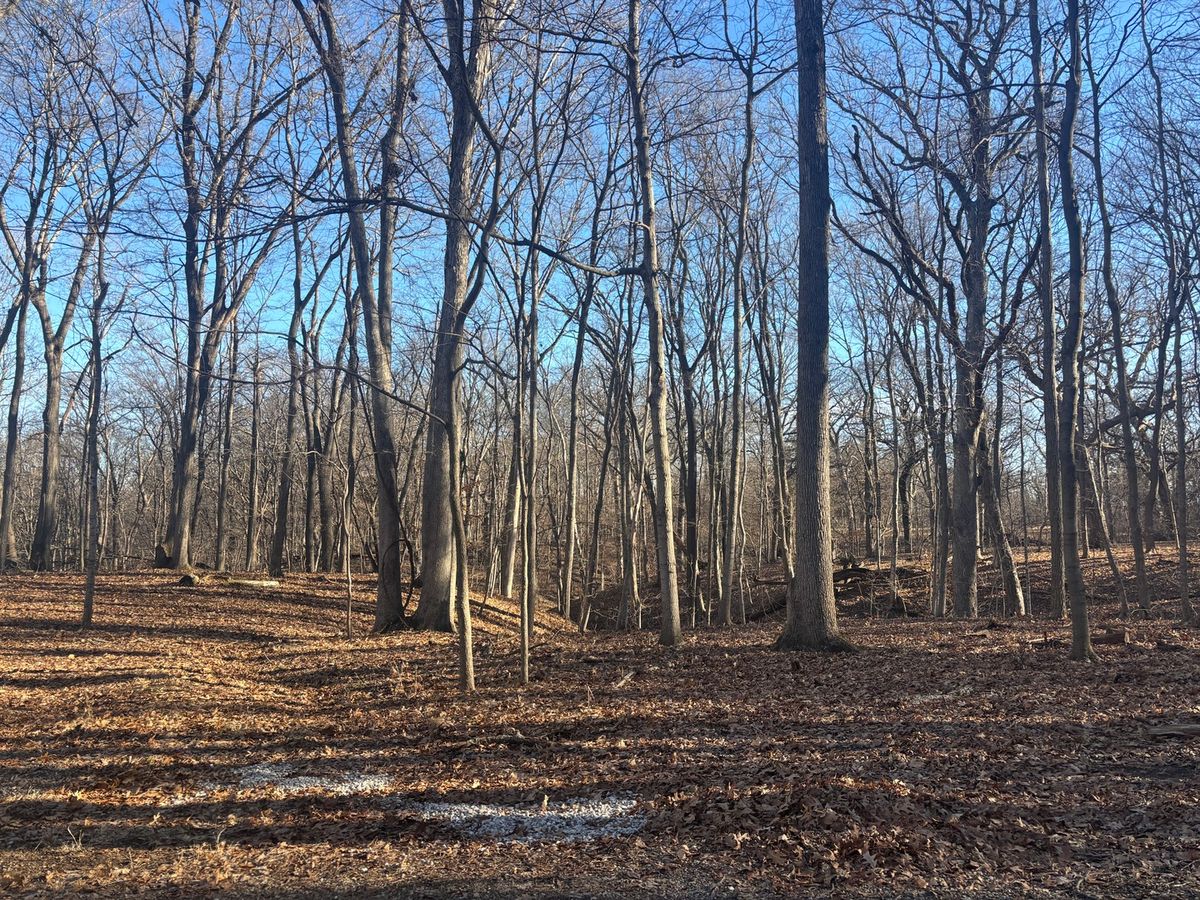 1761-1762 Sunflower Drive, Varna, IL 61375