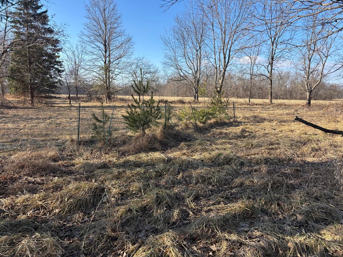 735 Brookside Drive, Varna, IL 61375