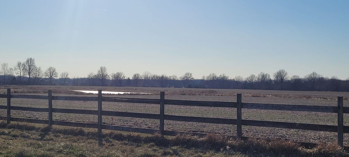 3499 E Snapshot Road E, Woodlawn, IL 62898