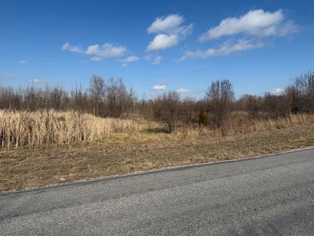 000 Lavern Road, Desoto, IL 62924