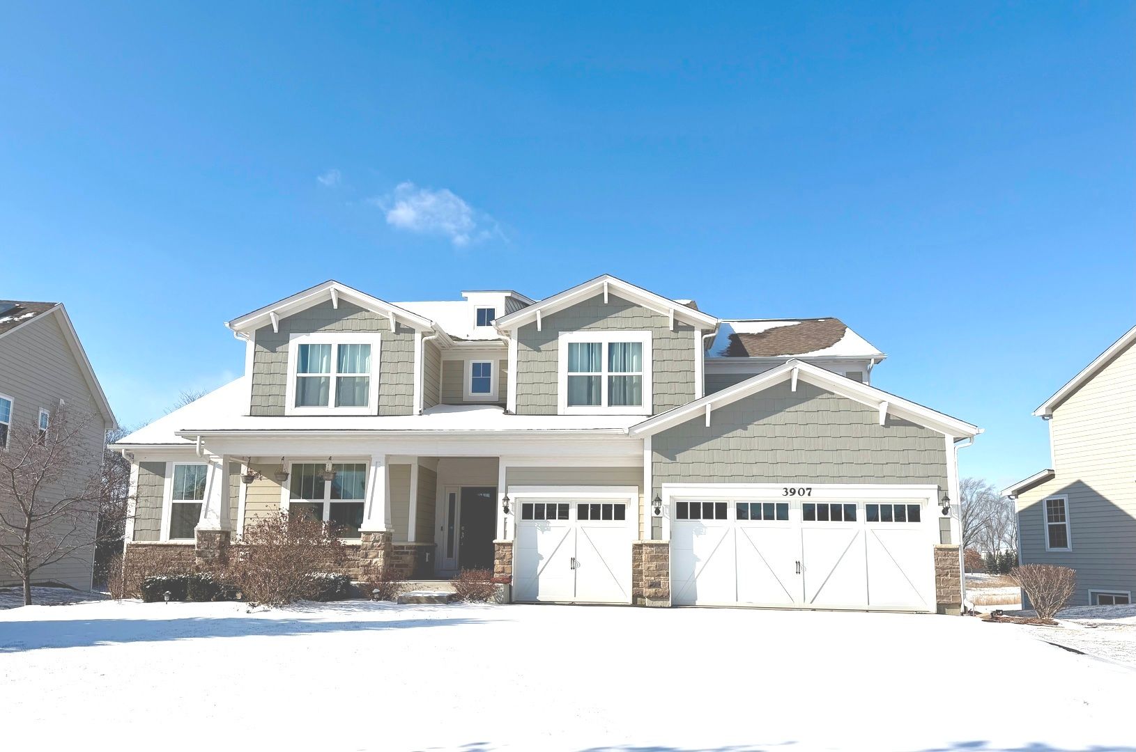 3907 Nannyberry Street — Naperville, IL 60564