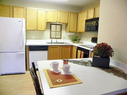 605 BARRINGTON Avenue #208, East Dundee, IL 60118