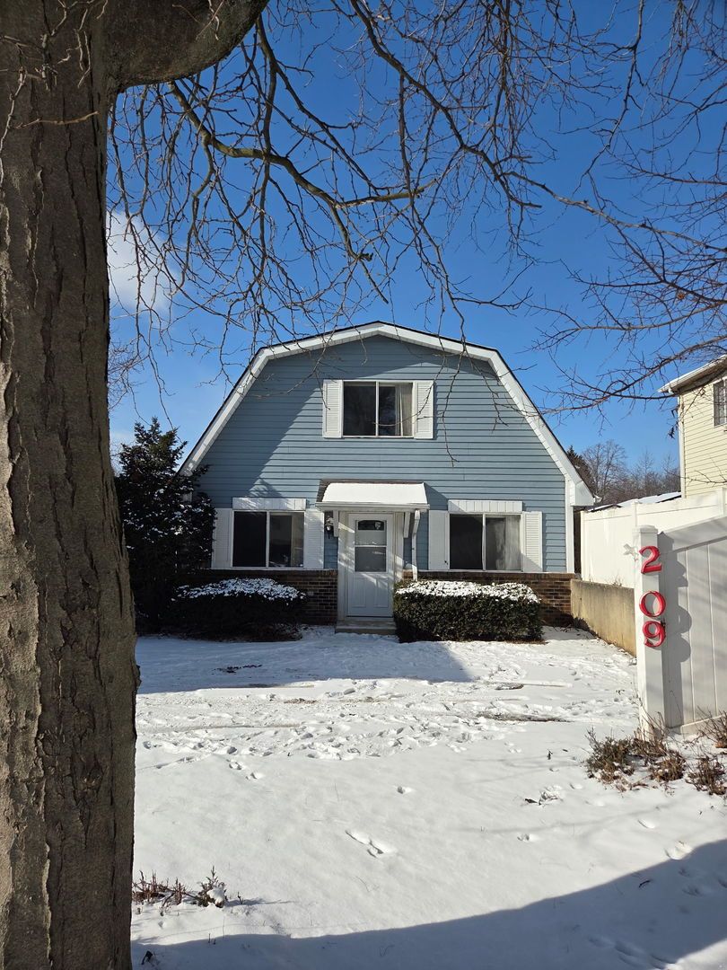209 Mill Stream Drive — Bolingbrook, IL 60440