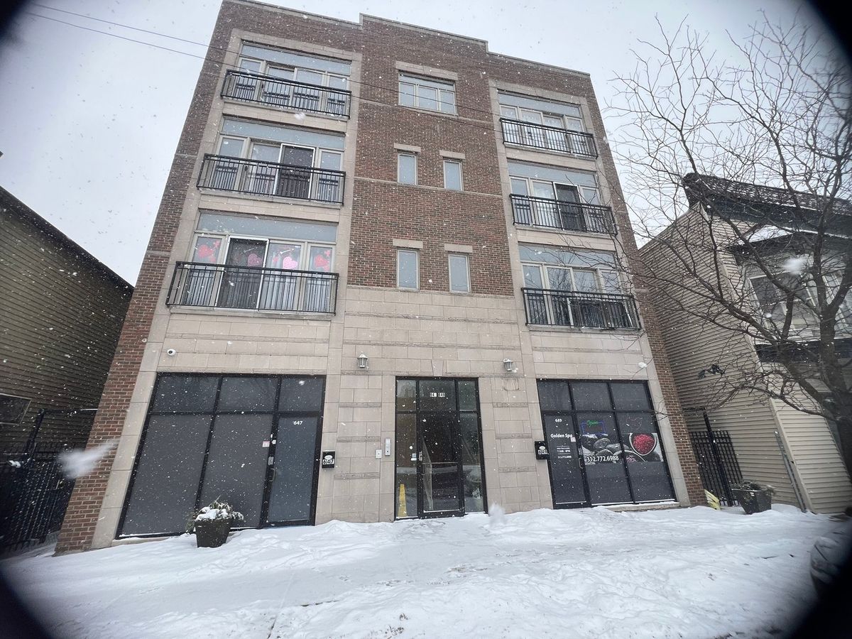 647 43rd Street, Chicago, IL 60609