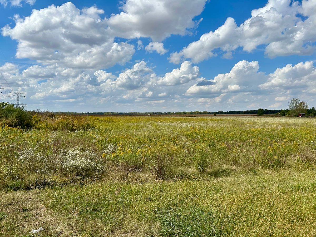 1065 Gorman Road, Morris, IL 60450