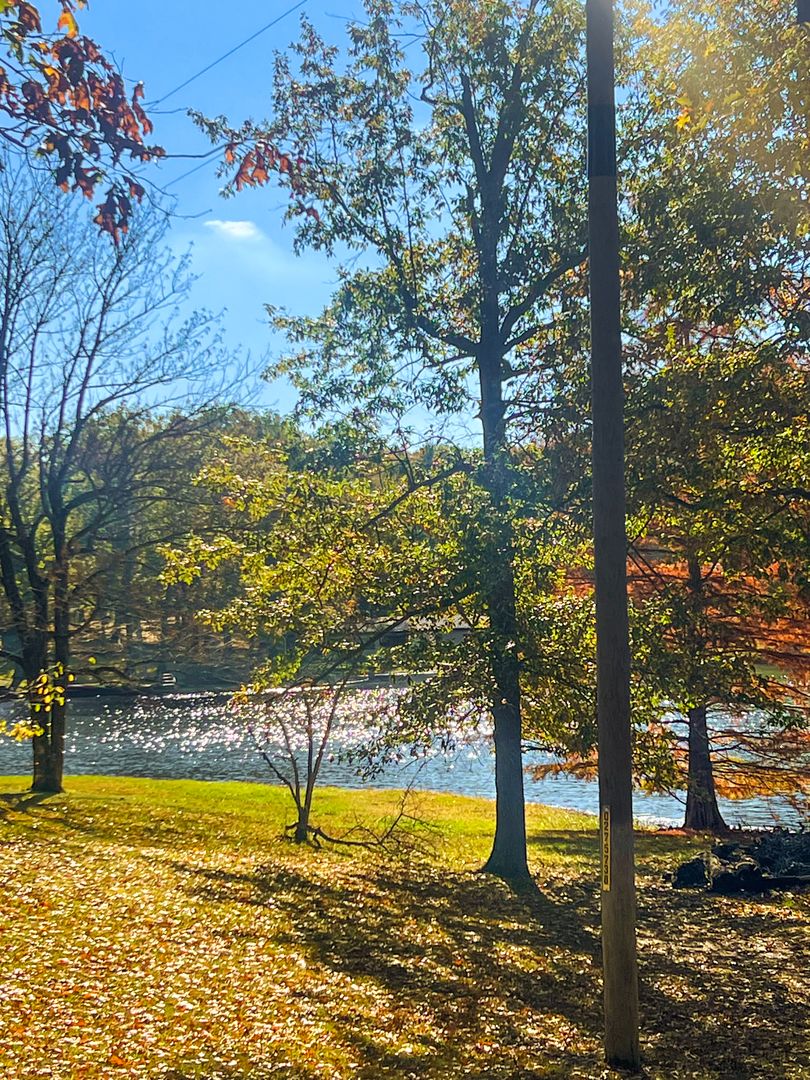 381 County Road 100 E Lot 14, Norris City, IL 62869