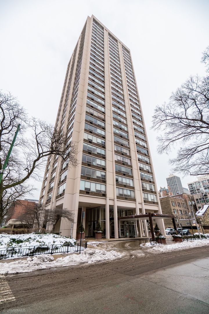 70 W Burton Place #2905F — Chicago, IL 60610