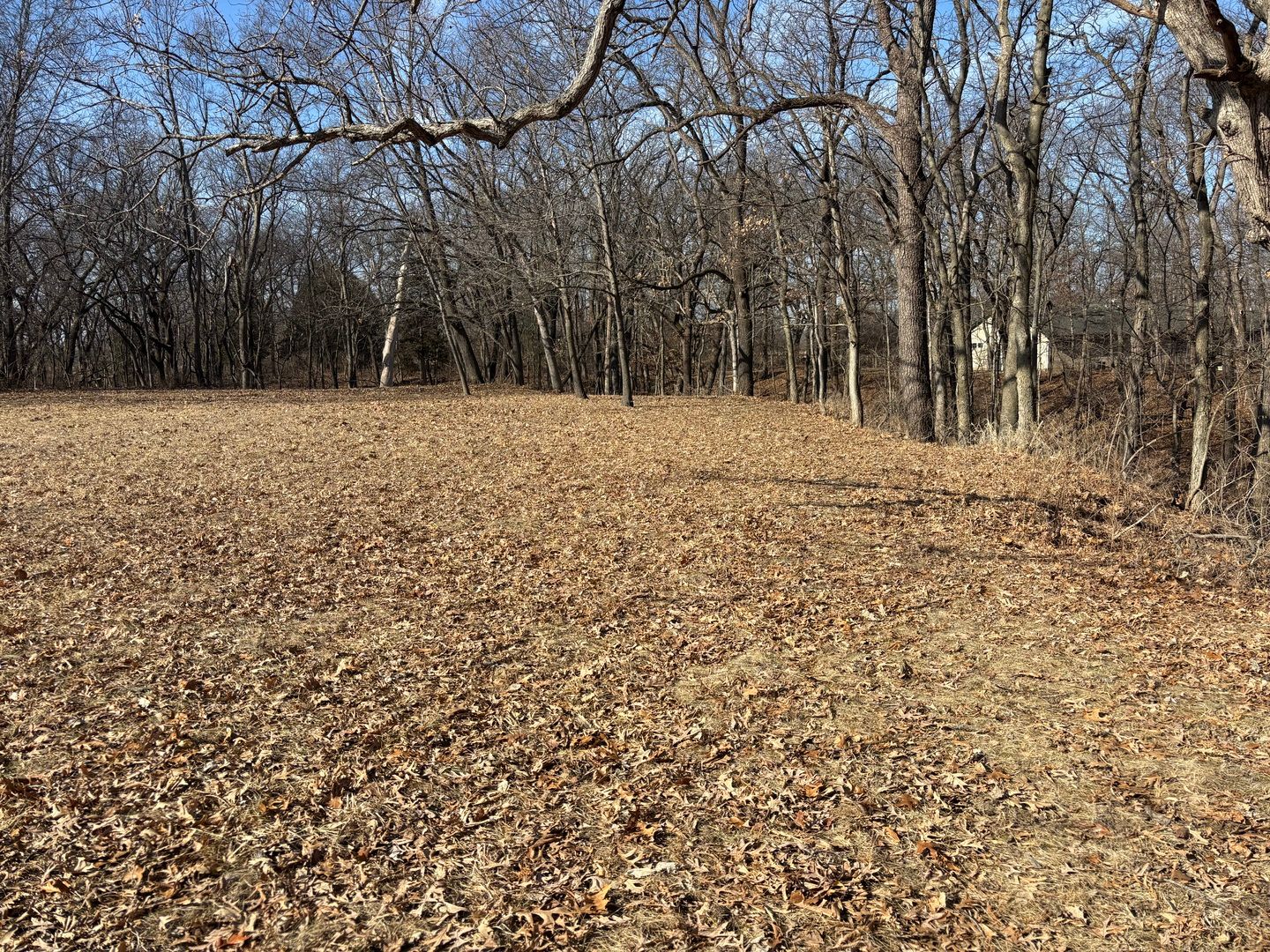 595 Cardinal Drive — Varna, IL 61375