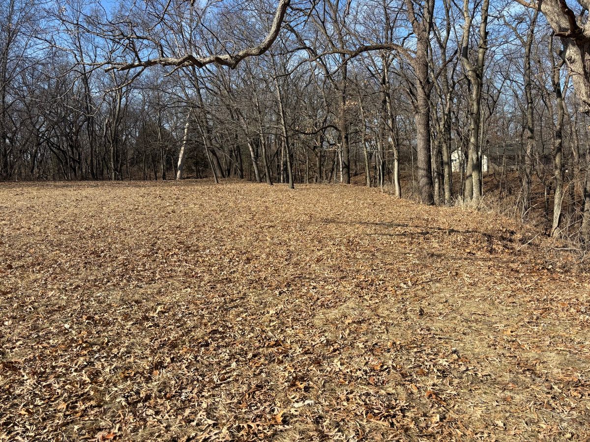 595 Cardinal Drive, Varna, IL 61375