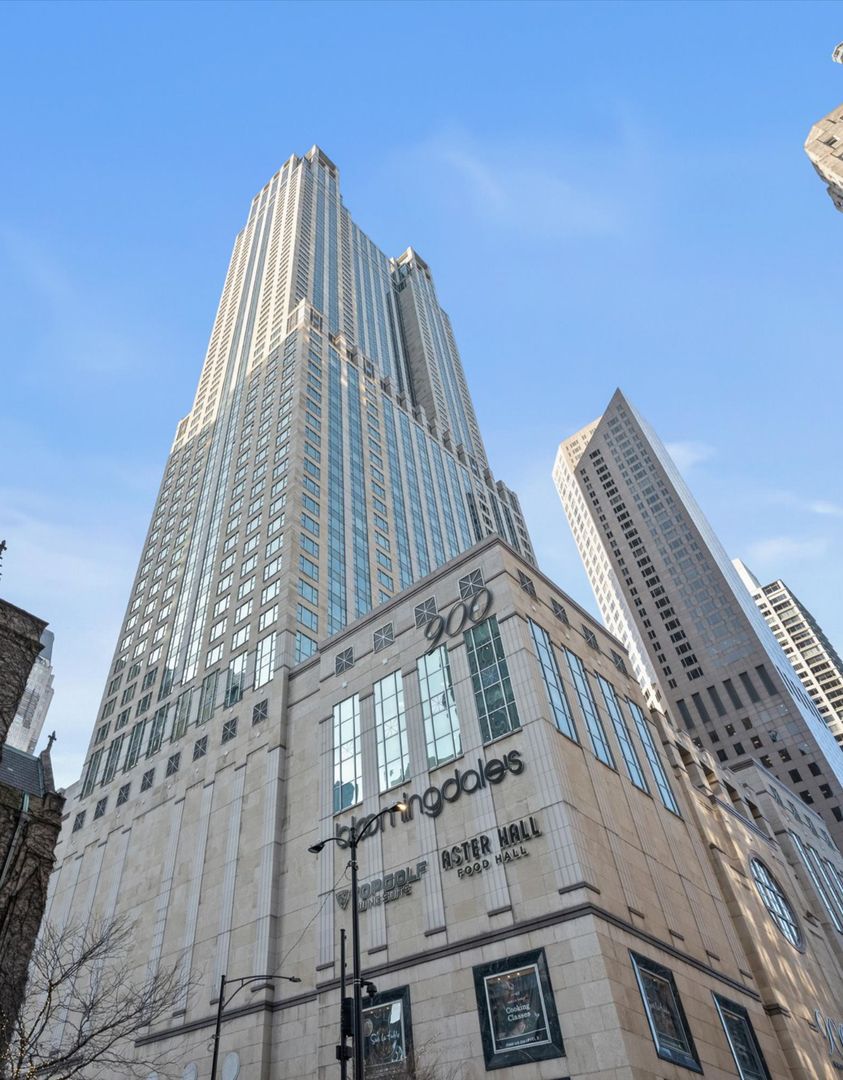 132 E Delaware Place #5106 — Chicago, IL 60611