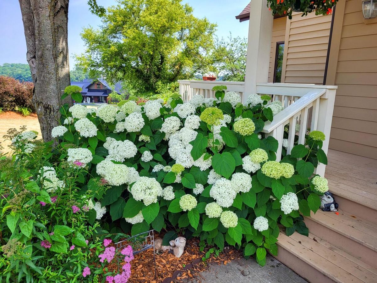 26-64 Blackwood Court, Lanark, IL 61046