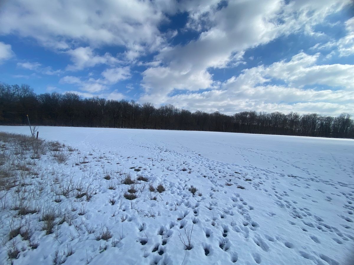 000 Highway 14 East Highway, Macedonia, IL 62860