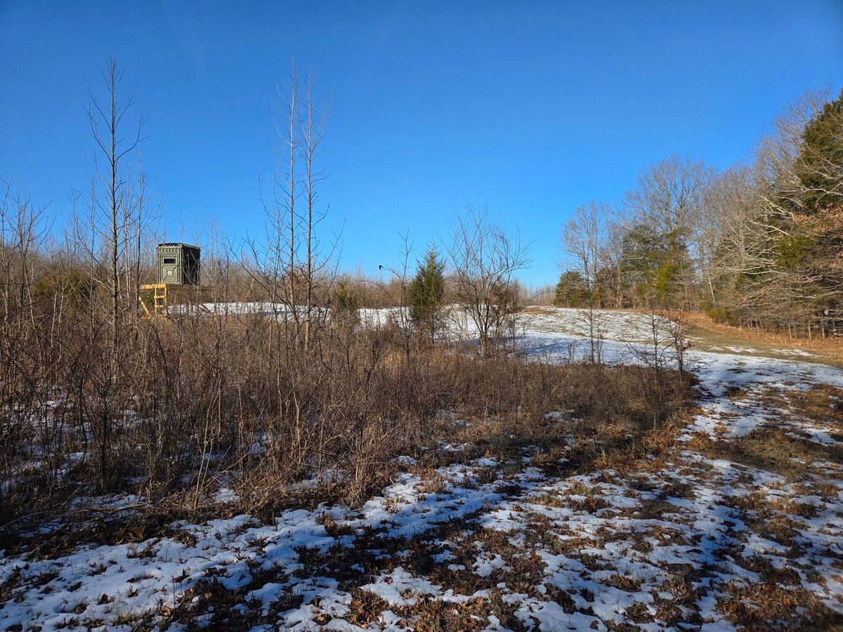 1395 Rock Springs Road, Simpson, IL 62985