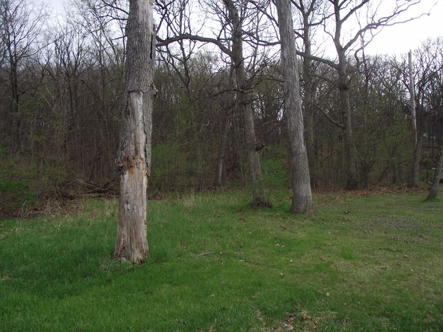 lot 012 Tuscola Avenue — St. Charles, IL 60174