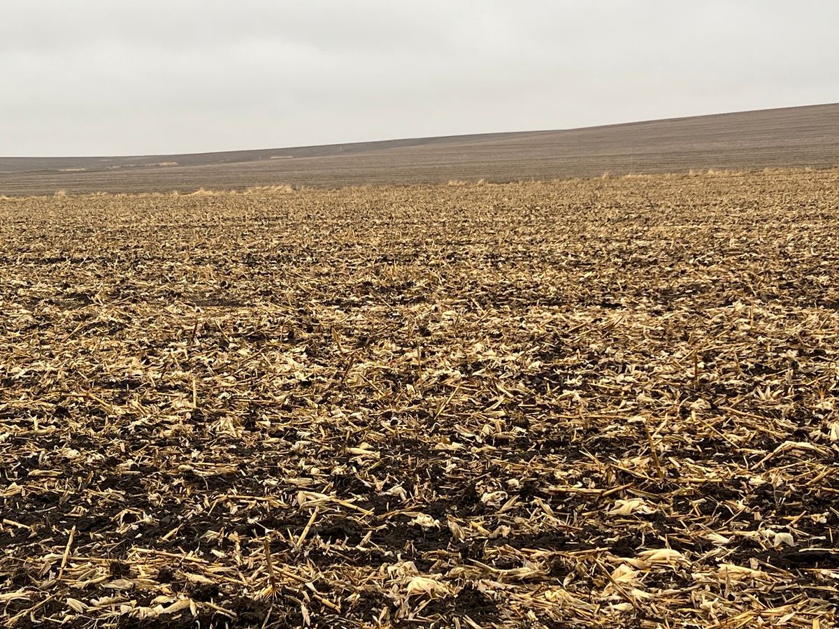 00 Allens Grove Road, Dixon, IA 52745