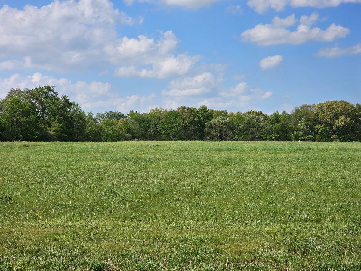 17225 Akin Black Top Road, Benton, IL 62812