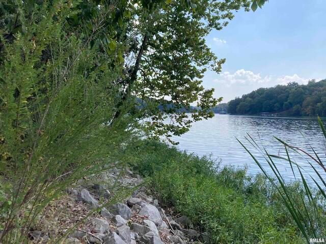 Lot 148 and Lot 501 Parrish Ridge Lane, Goreville, IL 62939