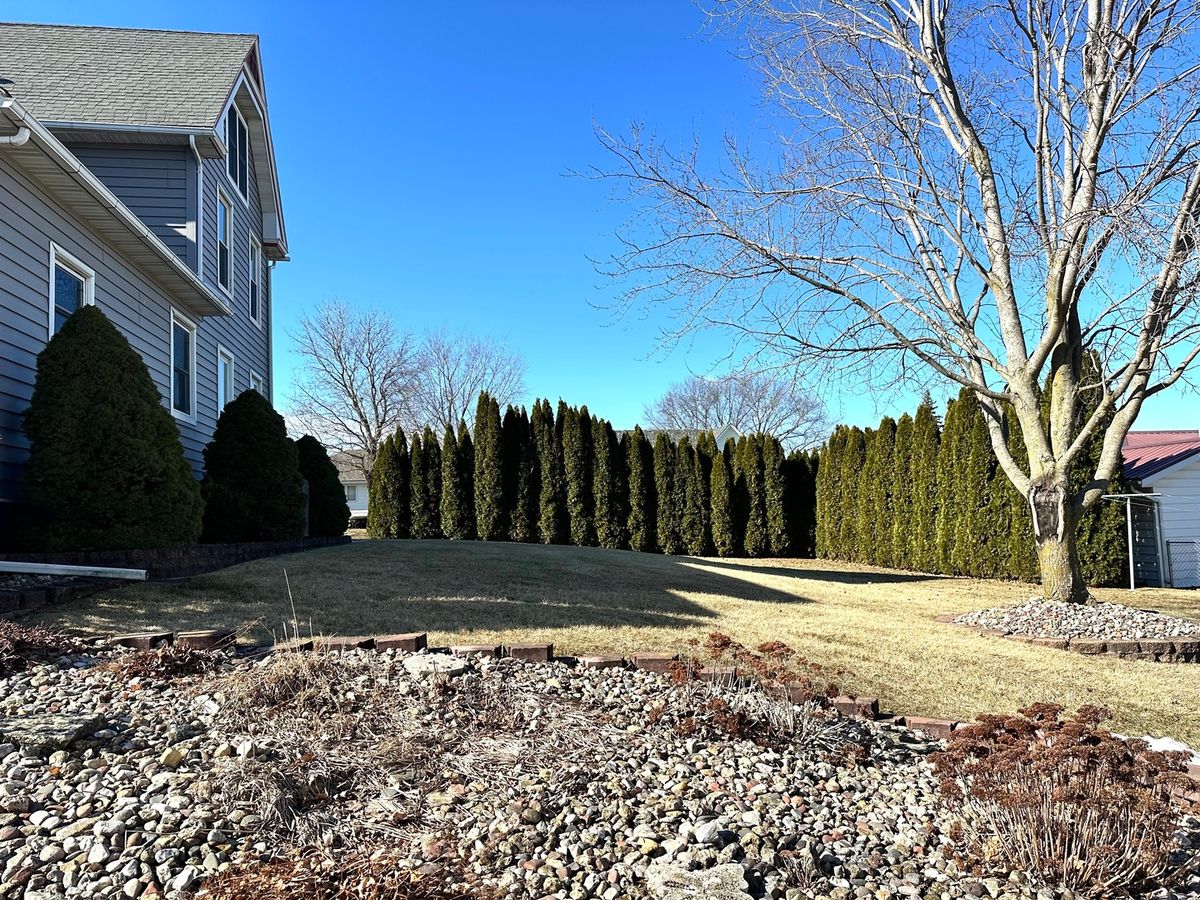 142 Elliot Street, Preston, IA 52069