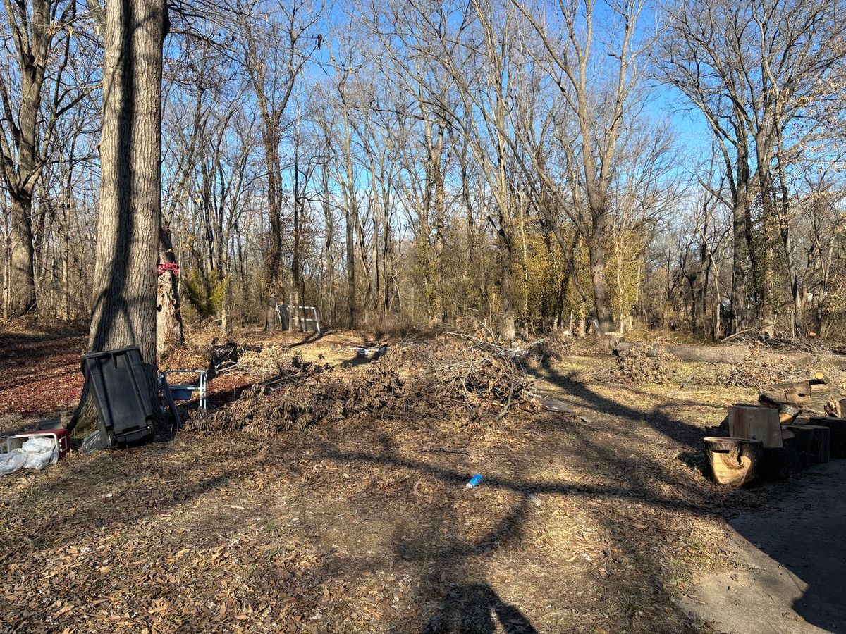 1406 Dial Street, Benton, IL 62812