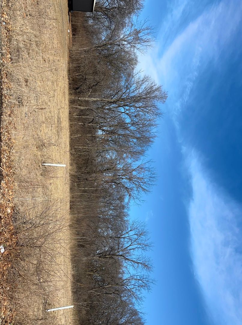 Lot 130 & Lot 131 Chippewa Trail, Albany, IL 61230