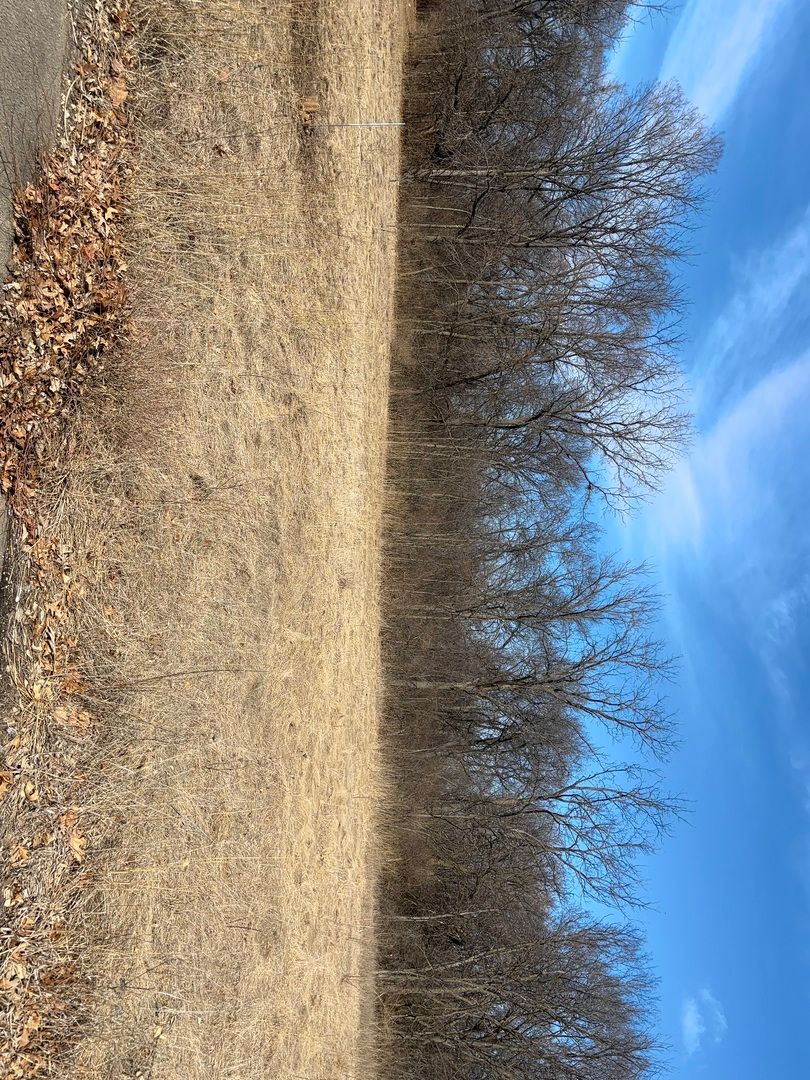 Lot 130 & Lot 131 Chippewa Trail, Albany, IL 61230