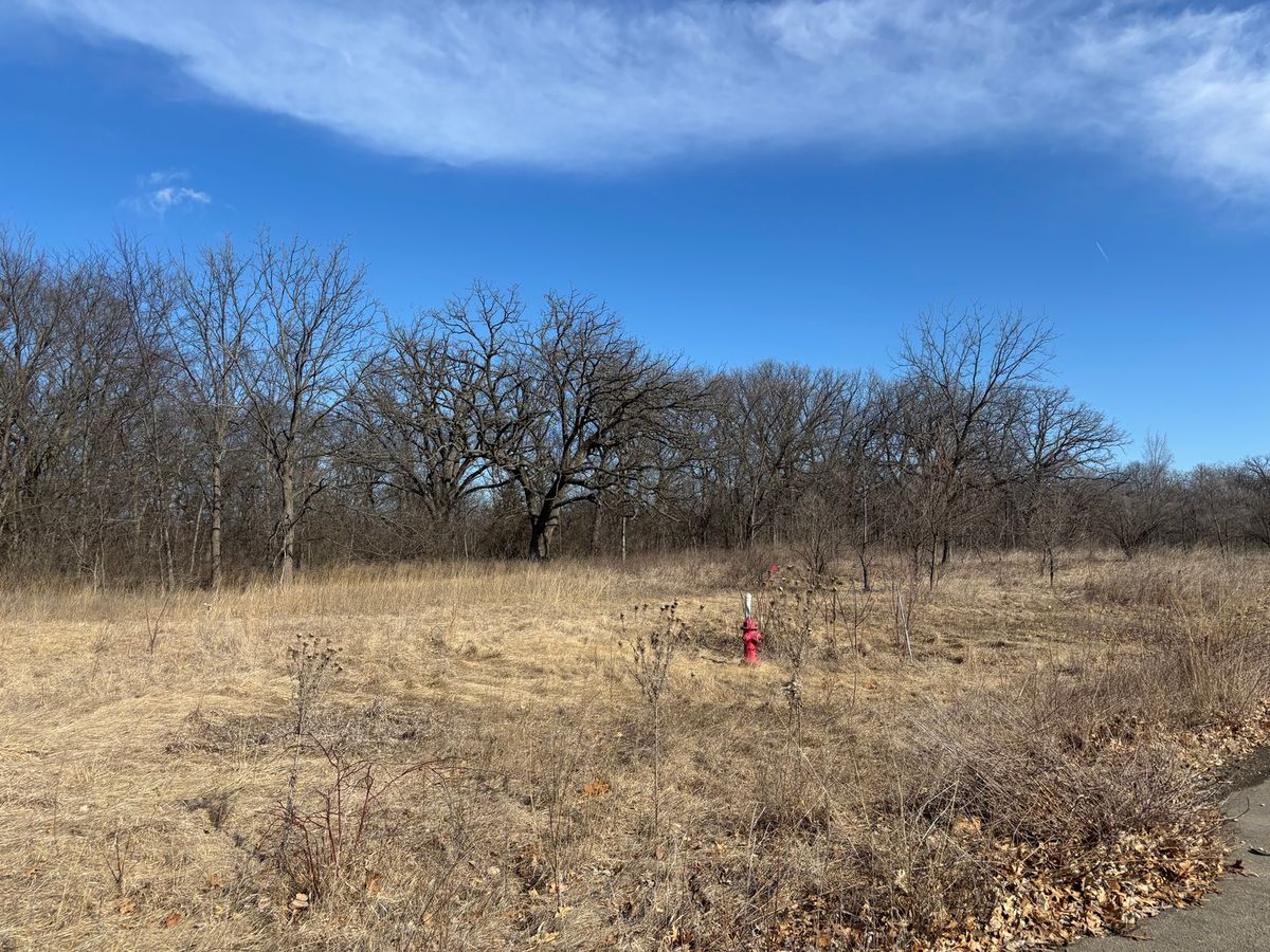 Lot 130 & Lot 131 Chippewa Trail, Albany, IL 61230