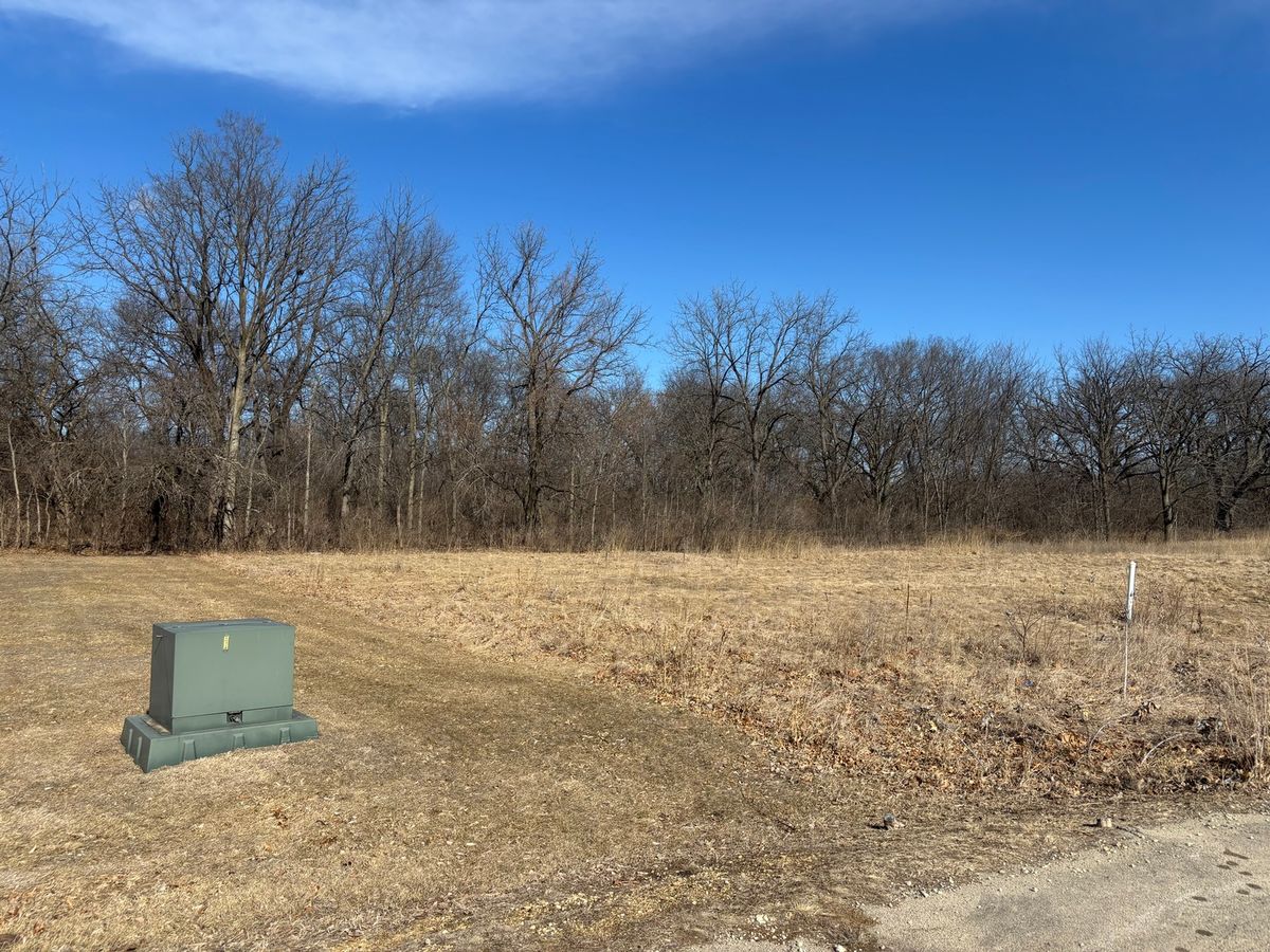 Lot 130 & Lot 131 Chippewa Trail, Albany, IL 61230