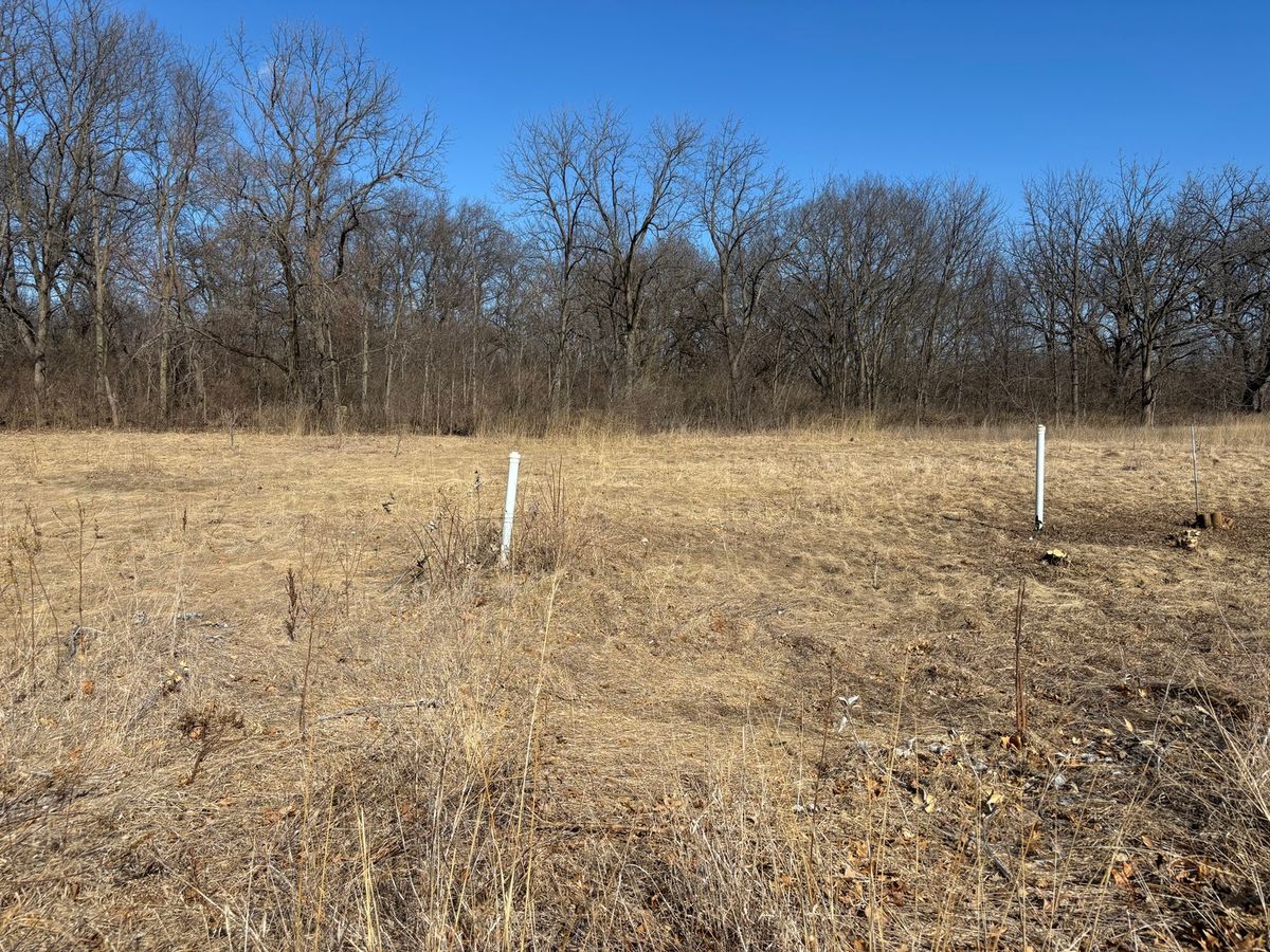 Lot 130 & Lot 131 Chippewa Trail, Albany, IL 61230