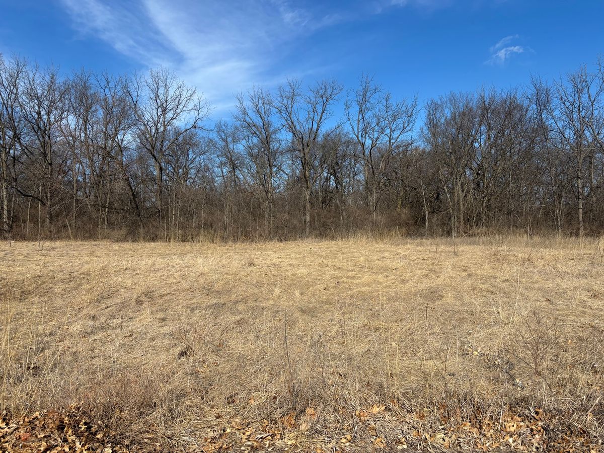 Lot 130 & Lot 131 Chippewa Trail, Albany, IL 61230