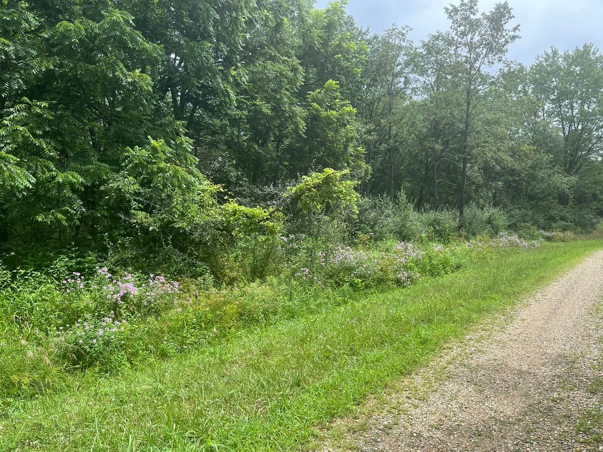 28 Cedar Lane, Putnam, IL 61560