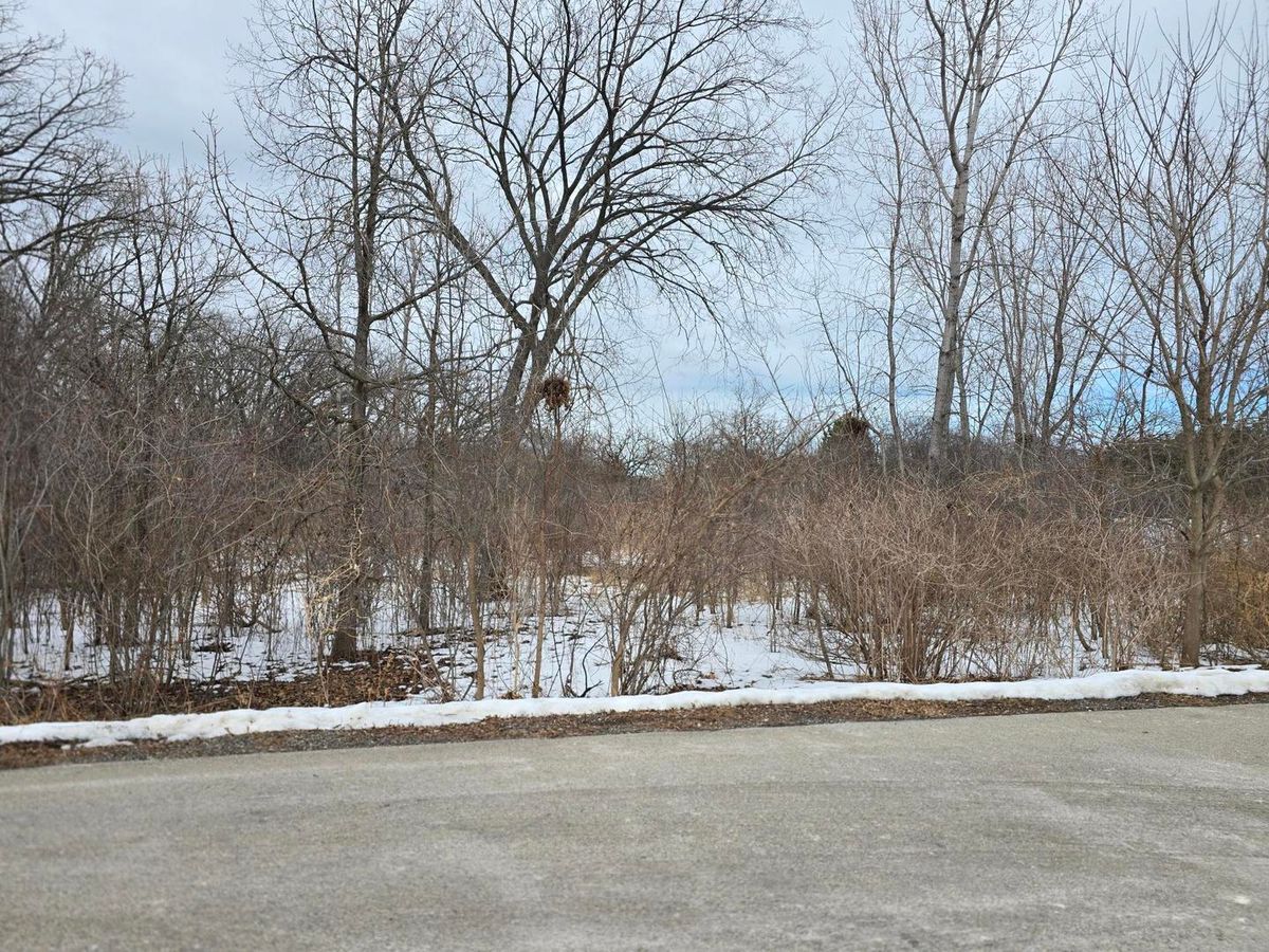 13472 Hart Street, Wadsworth, IL 60083