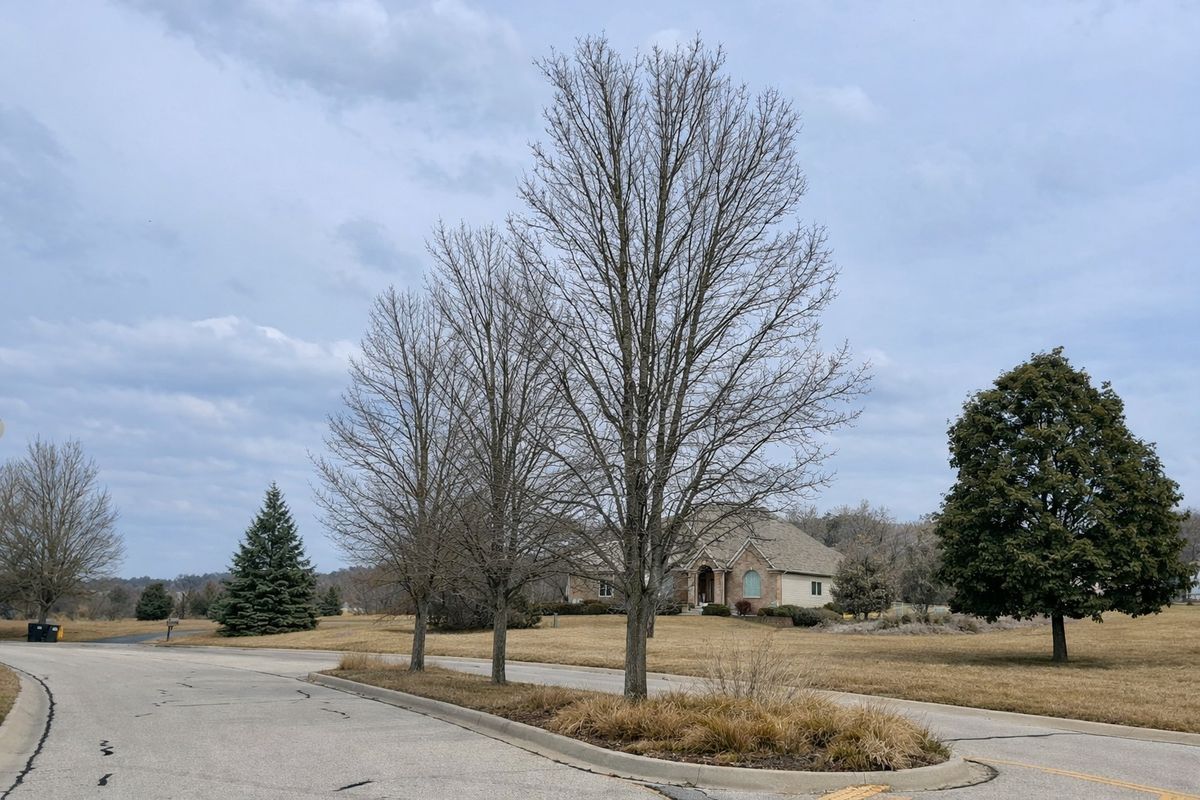 1715 Cedar Lane, Spring Grove, IL 60081