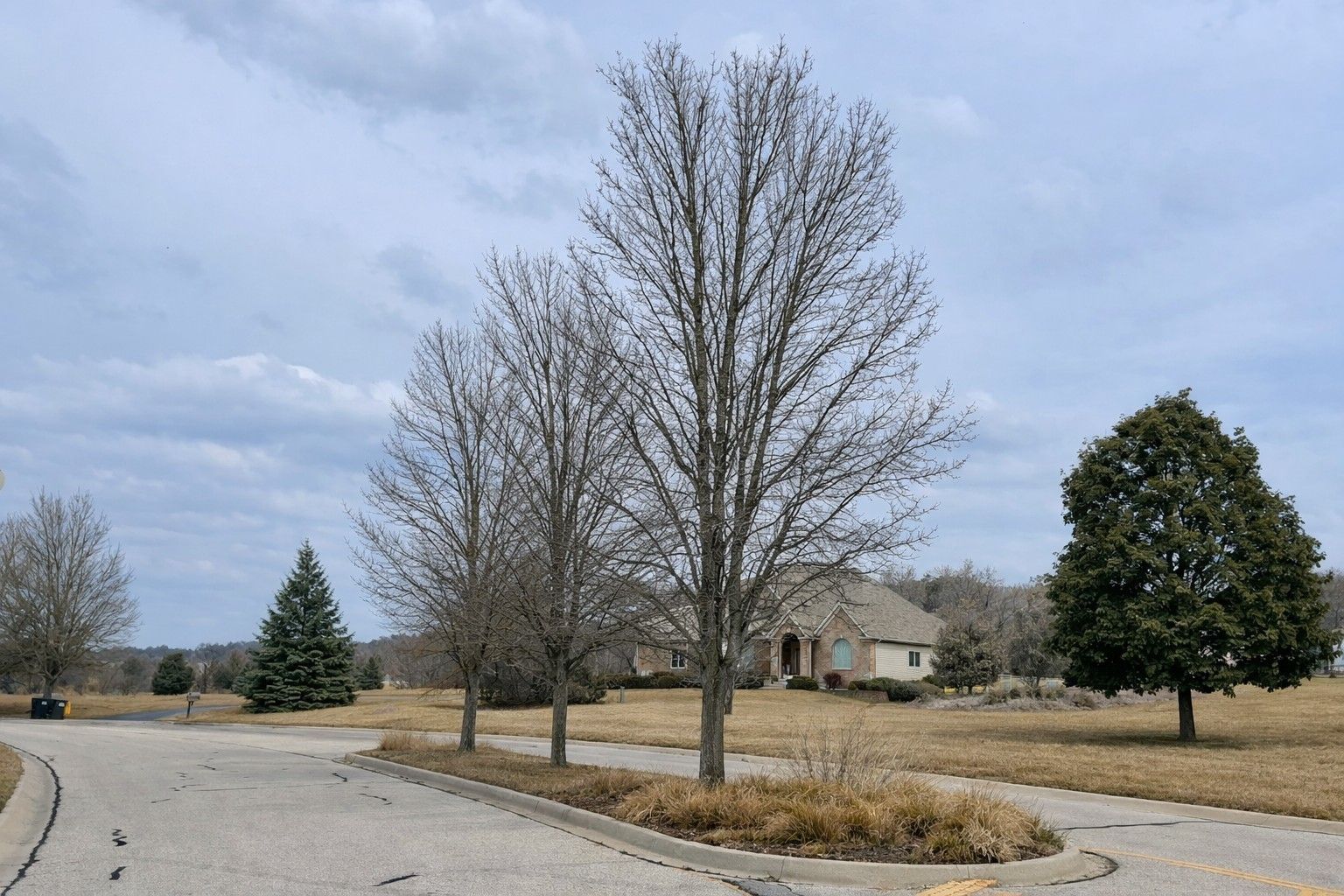 1852 Red Oak Lane — Spring Grove, IL 60081