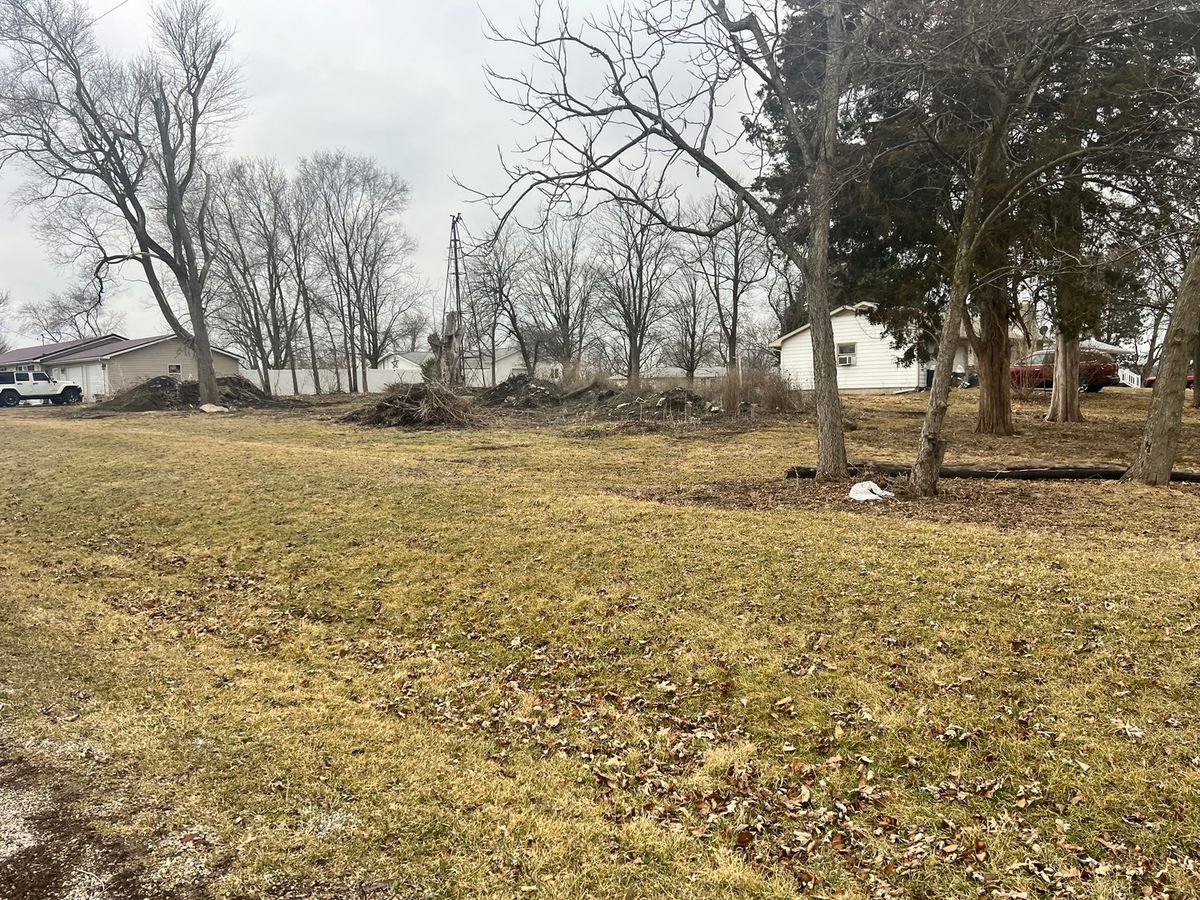 201 N Johnson Street, Rankin, IL 60960