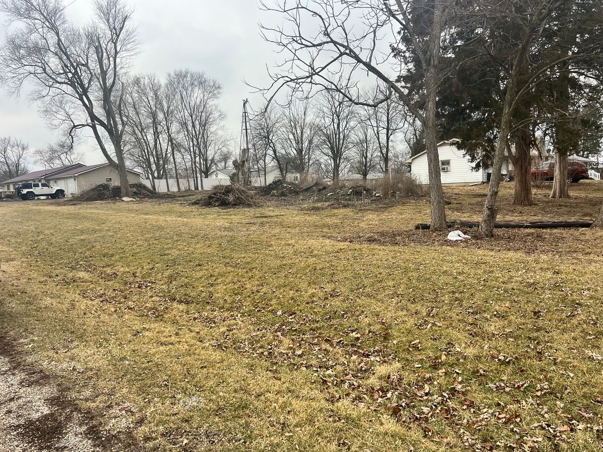 201 N Johnson Street, Rankin, IL 60960