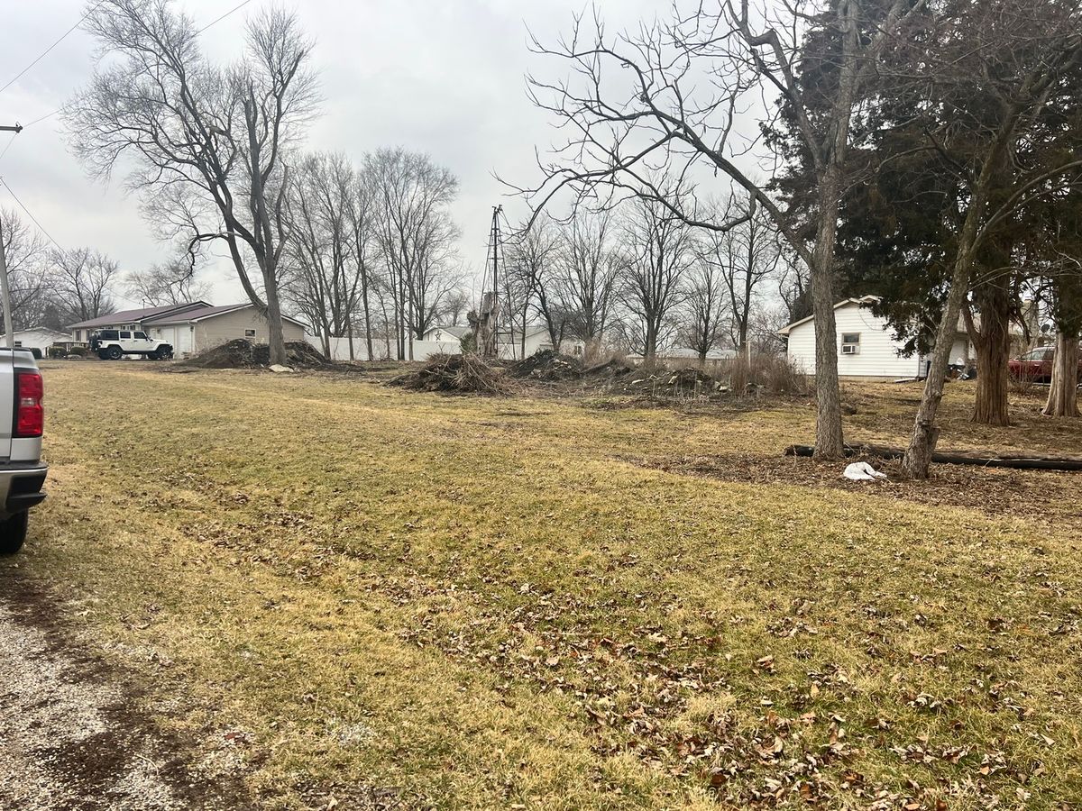 201 N Johnson Street, Rankin, IL 60960
