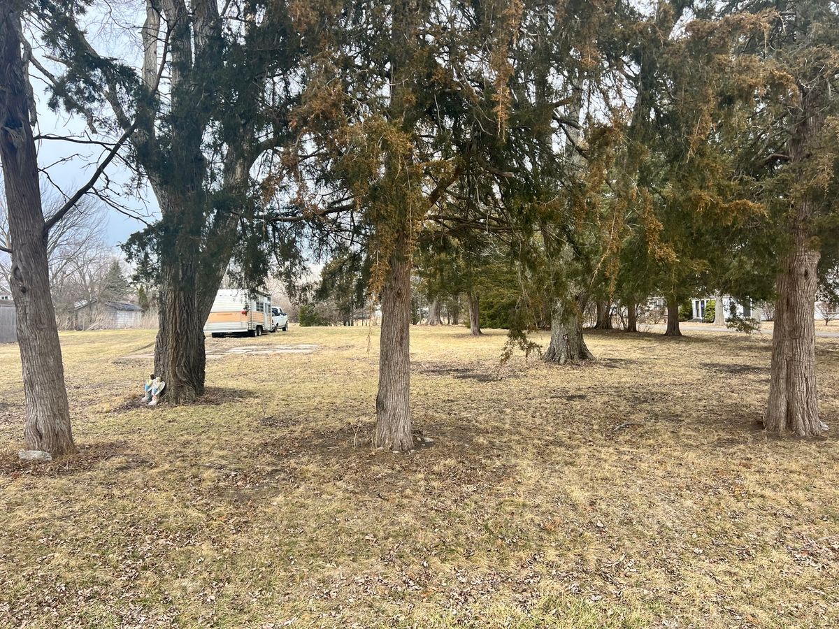 428 E 5th Avenue, Rankin, IL 60960