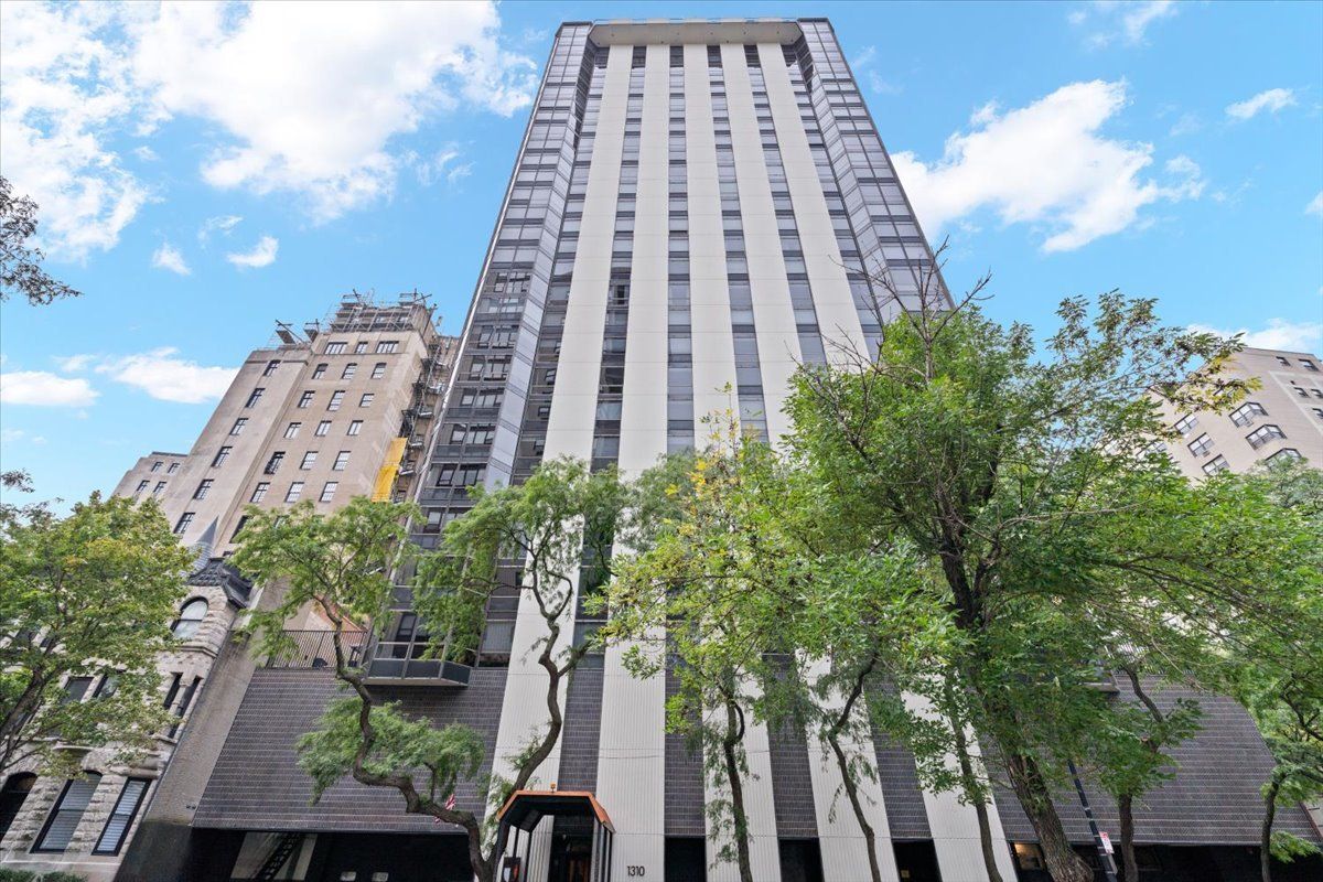 1310 N Ritchie Court #3A — Chicago, IL 60610