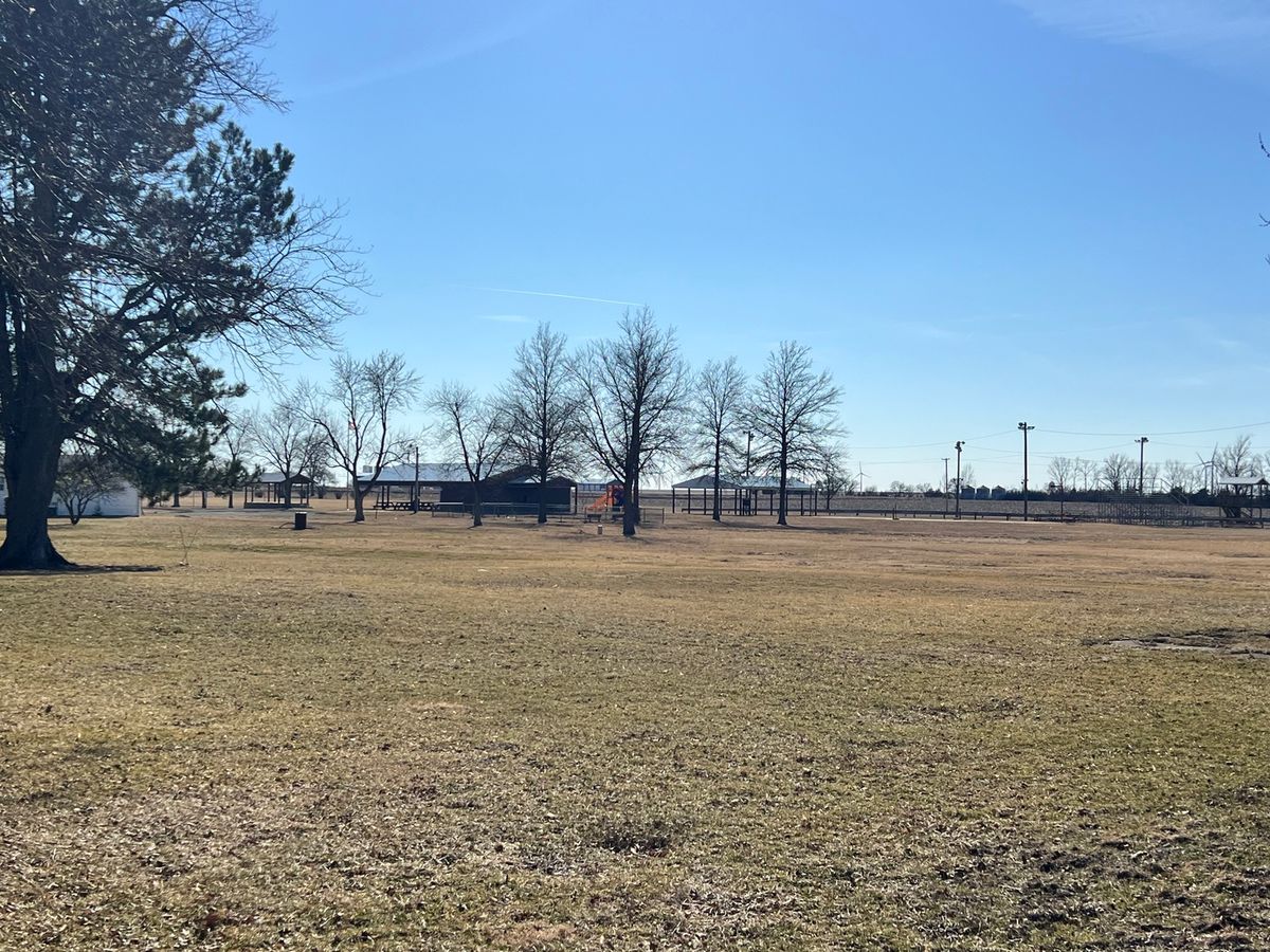 203 5th Avenue, Rankin, IL 60960