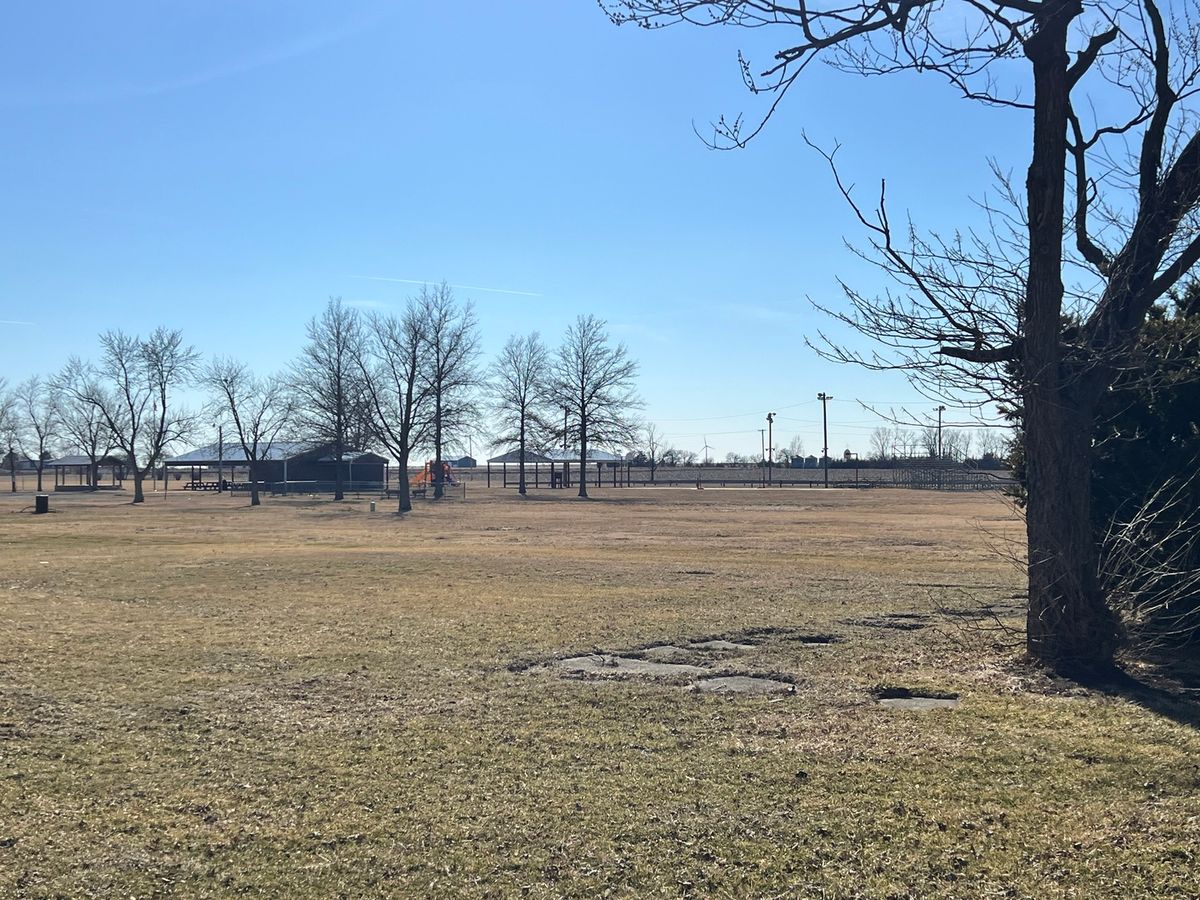 203 W 5th Avenue, Rankin, IL 60960