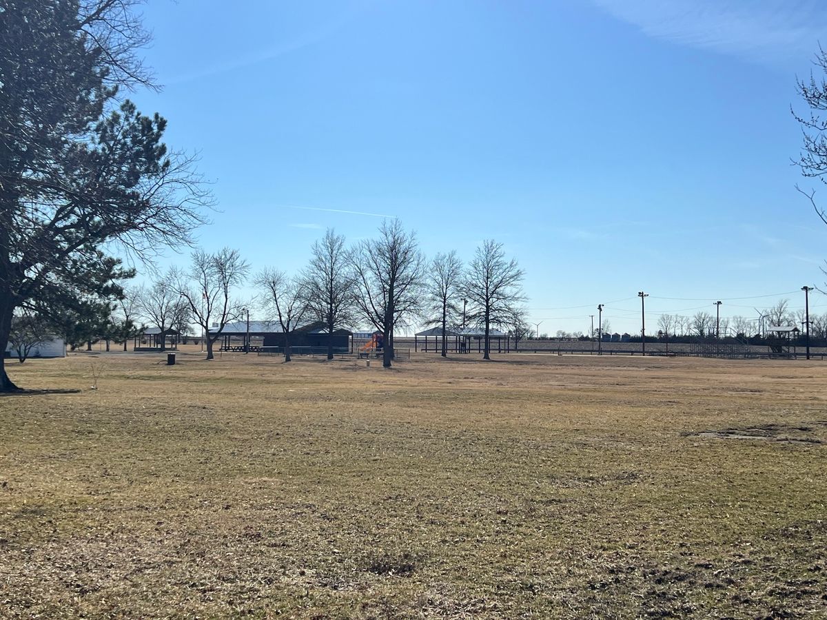203 W 5th Avenue, Rankin, IL 60960